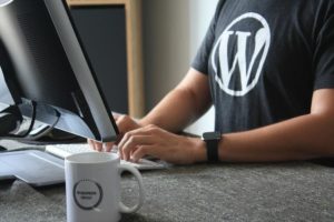 iclusta WordPress